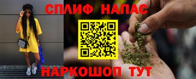 крисы Будённовск