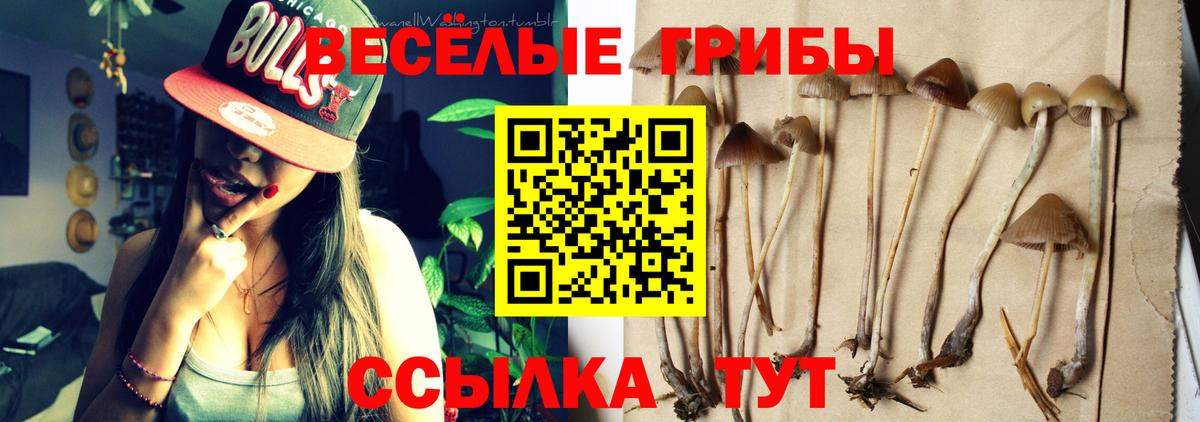 Галлюциногенные грибы MAGIC MUSHROOMS  Вход с VPN  Мценск 